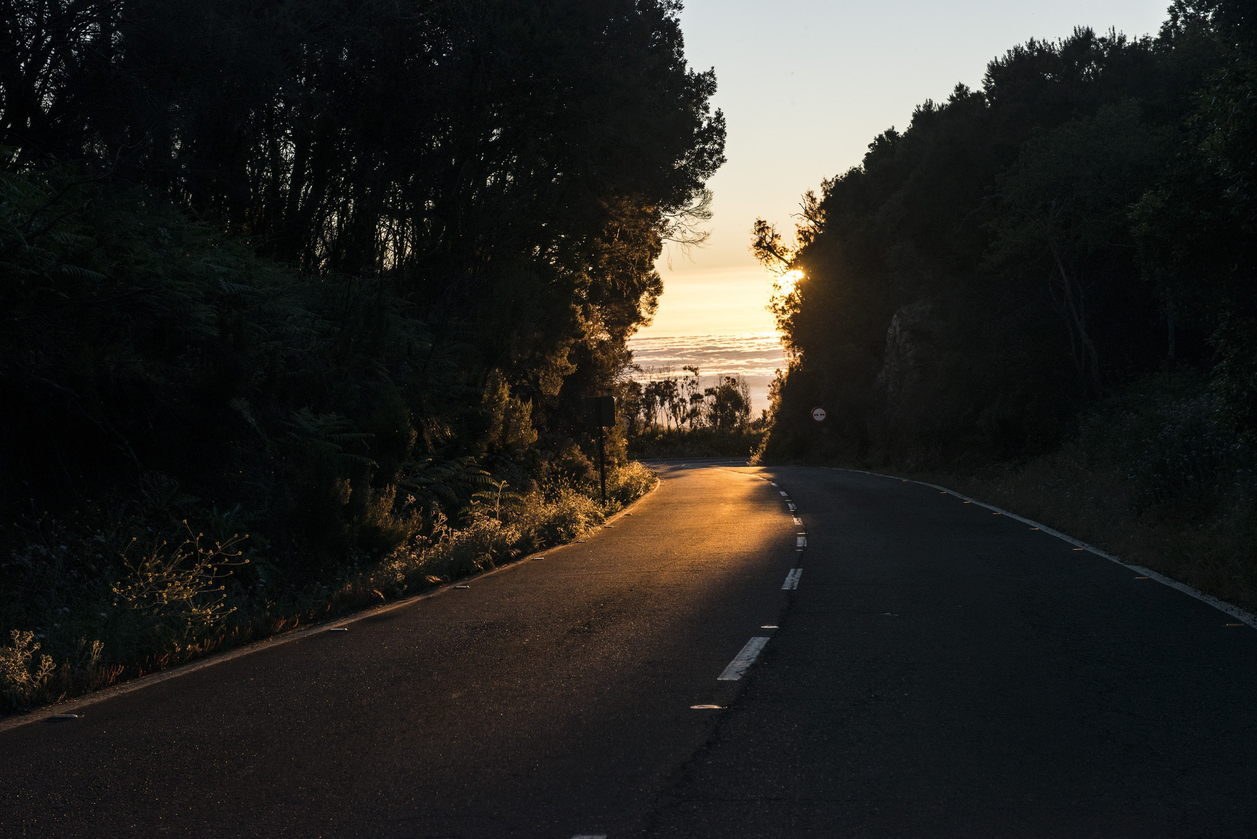 We children of Gomera 29 by Jan Windszus