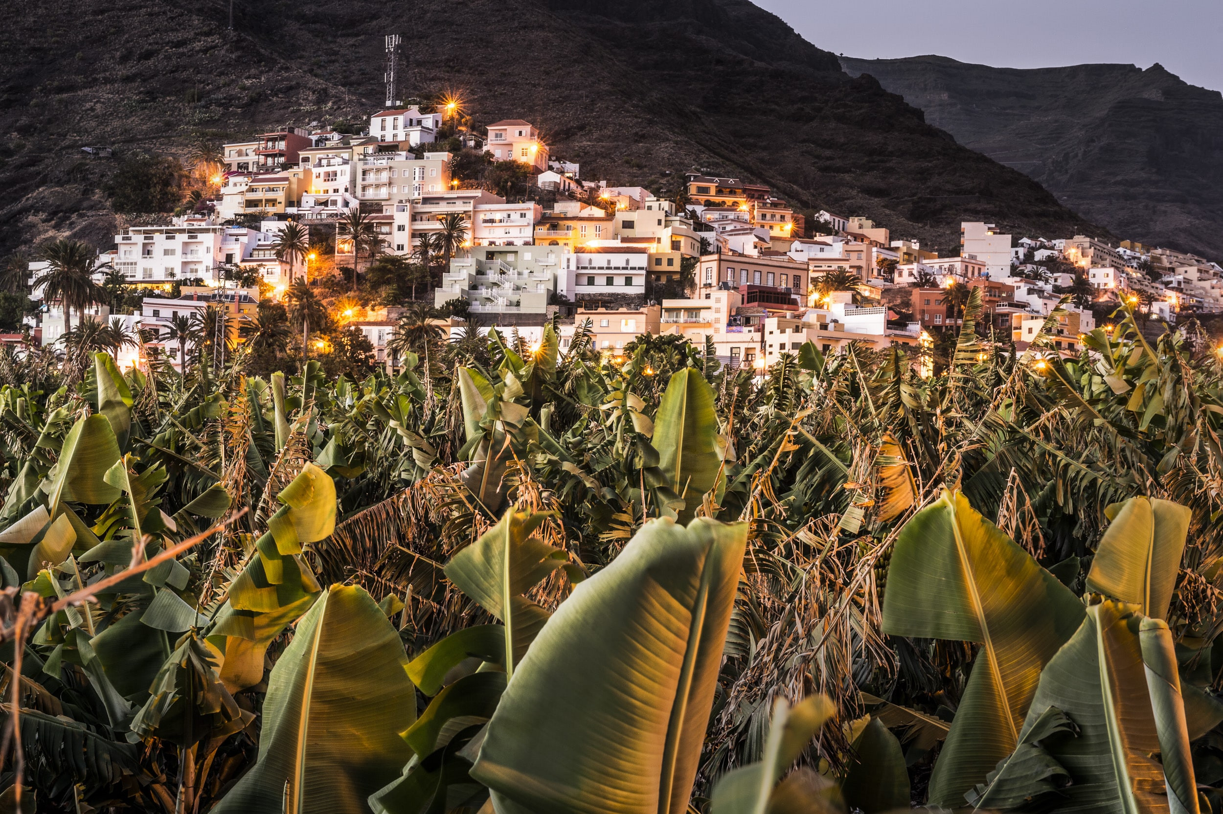 We children of Gomera 20 by Jan Windszus