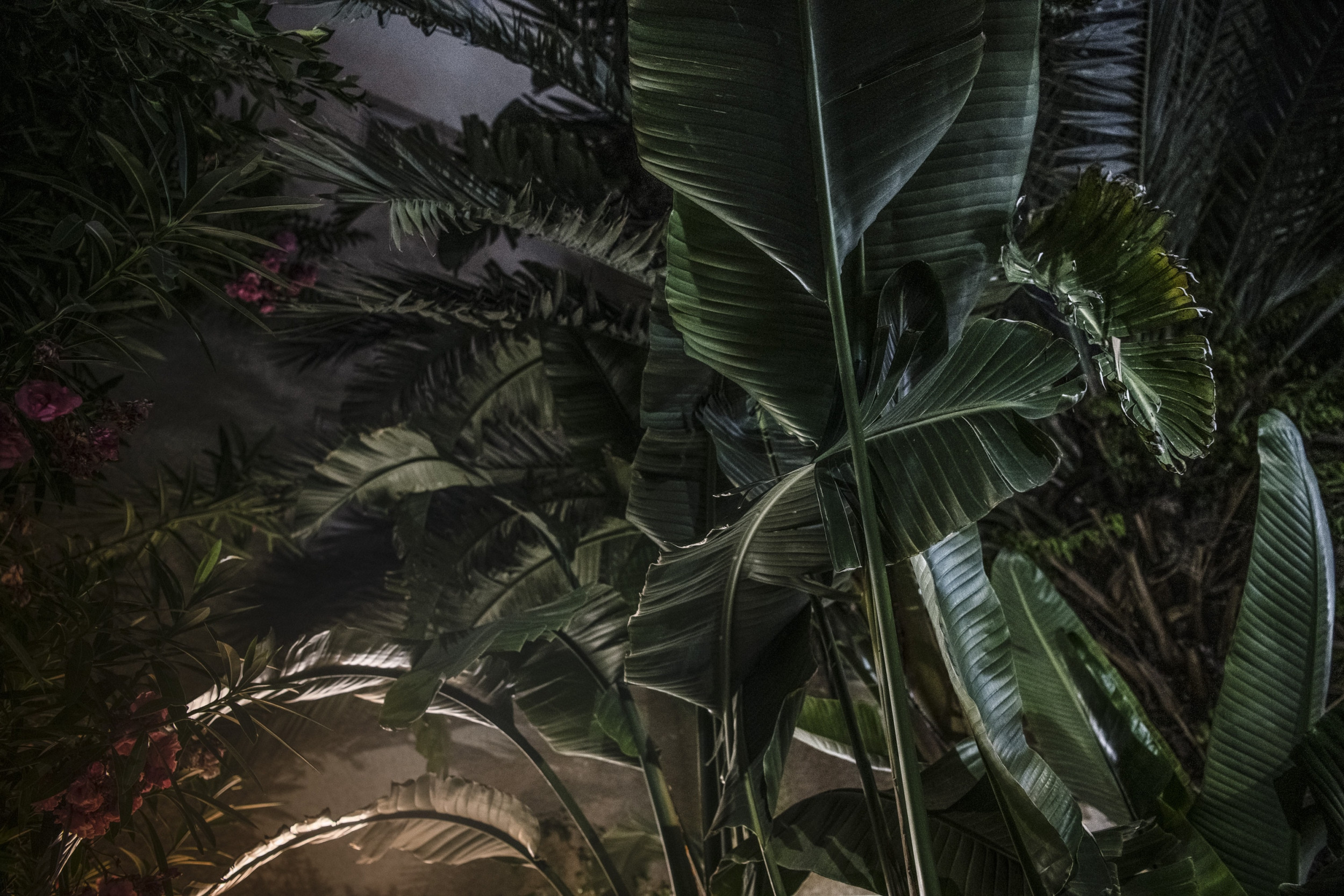 Tel Aviv - A portrait of a city 20 by Jan Windszus