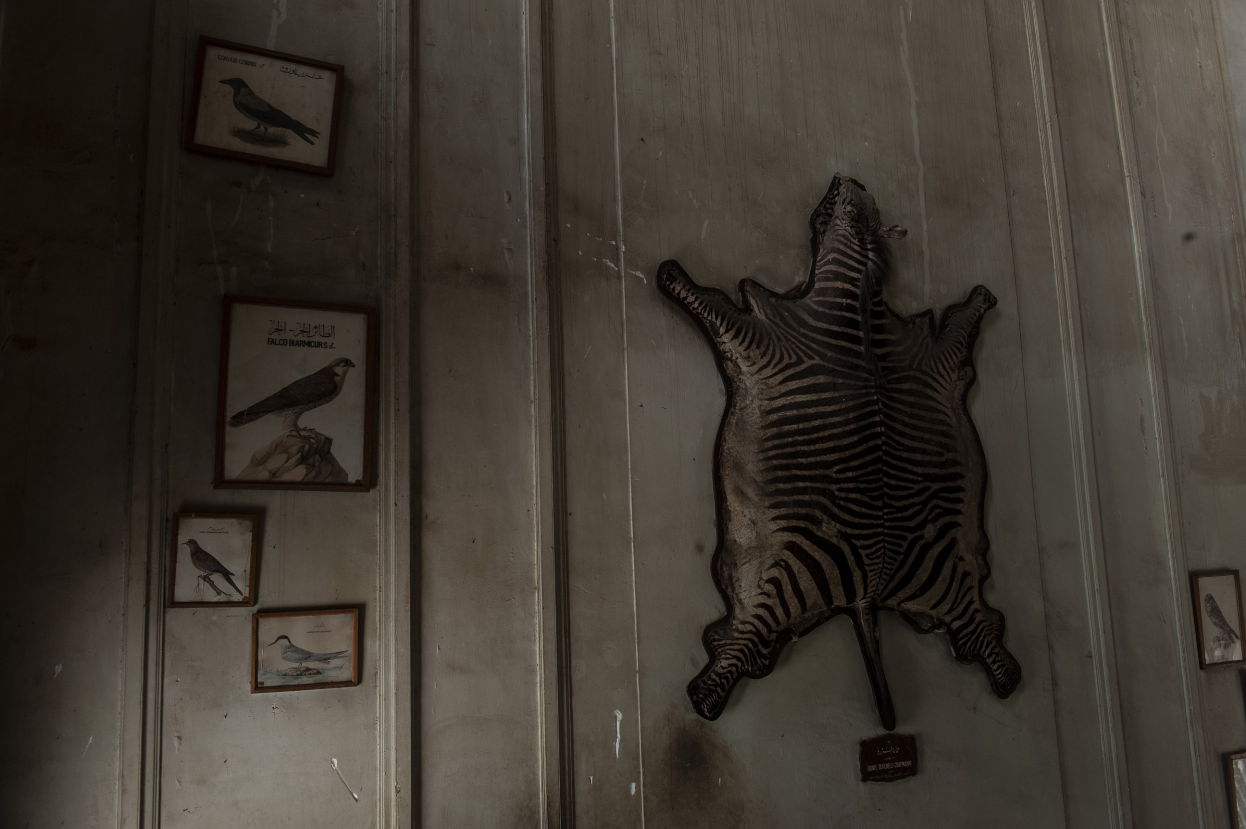 Cairo 15 by Jan Windszus