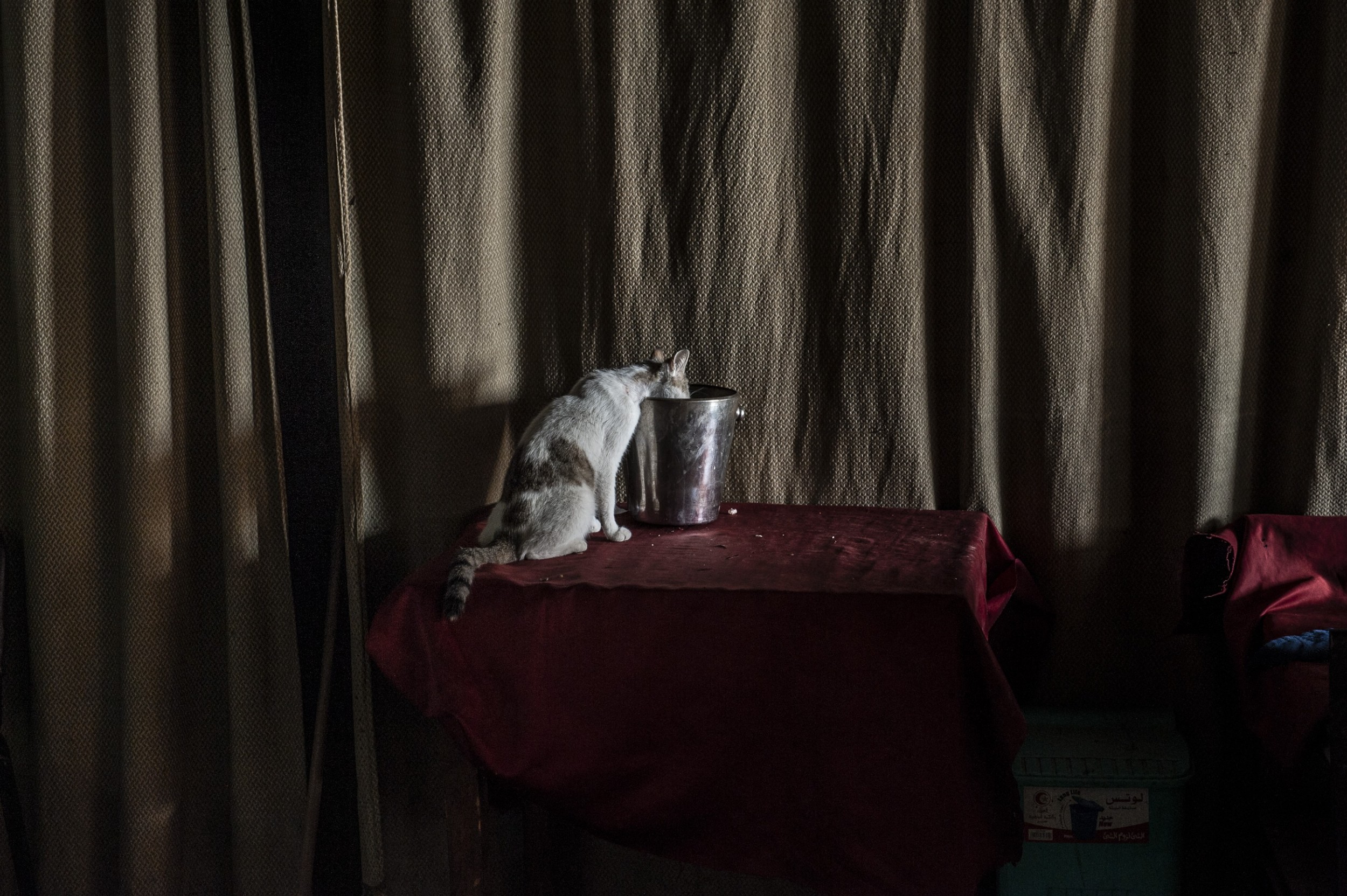 Cairo 19 by Jan Windszus