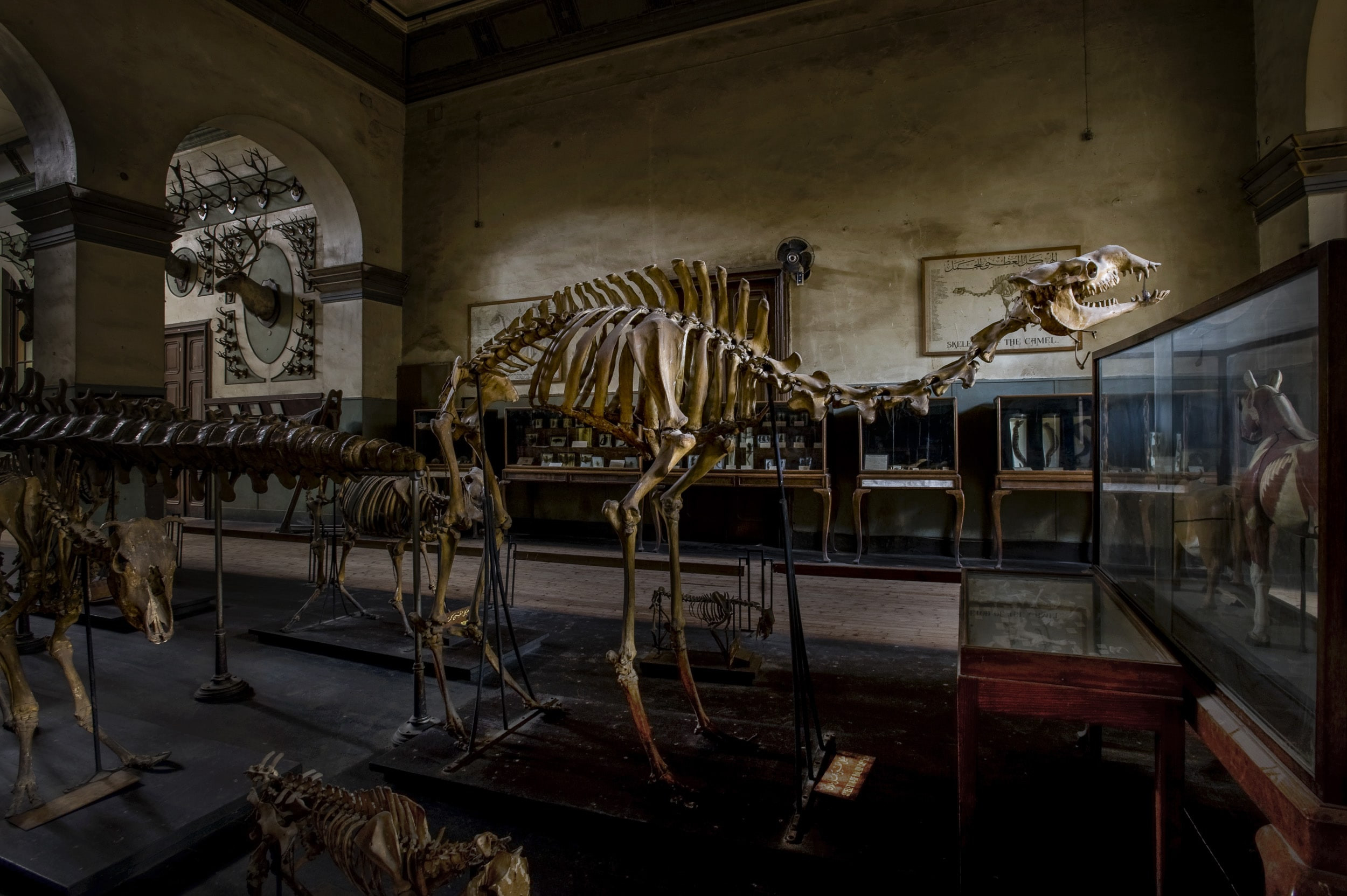 Cairo 2 by Jan Windszus