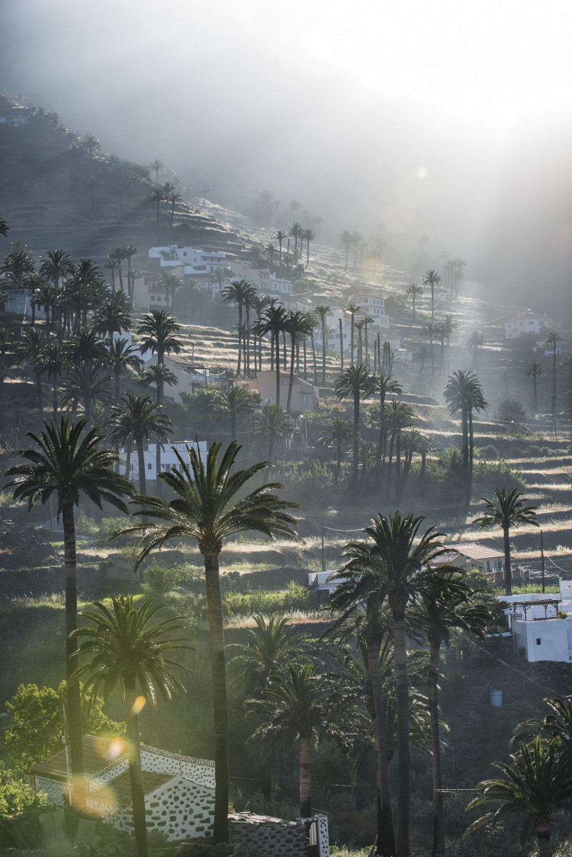 We children of Gomera 36 by Jan Windszus