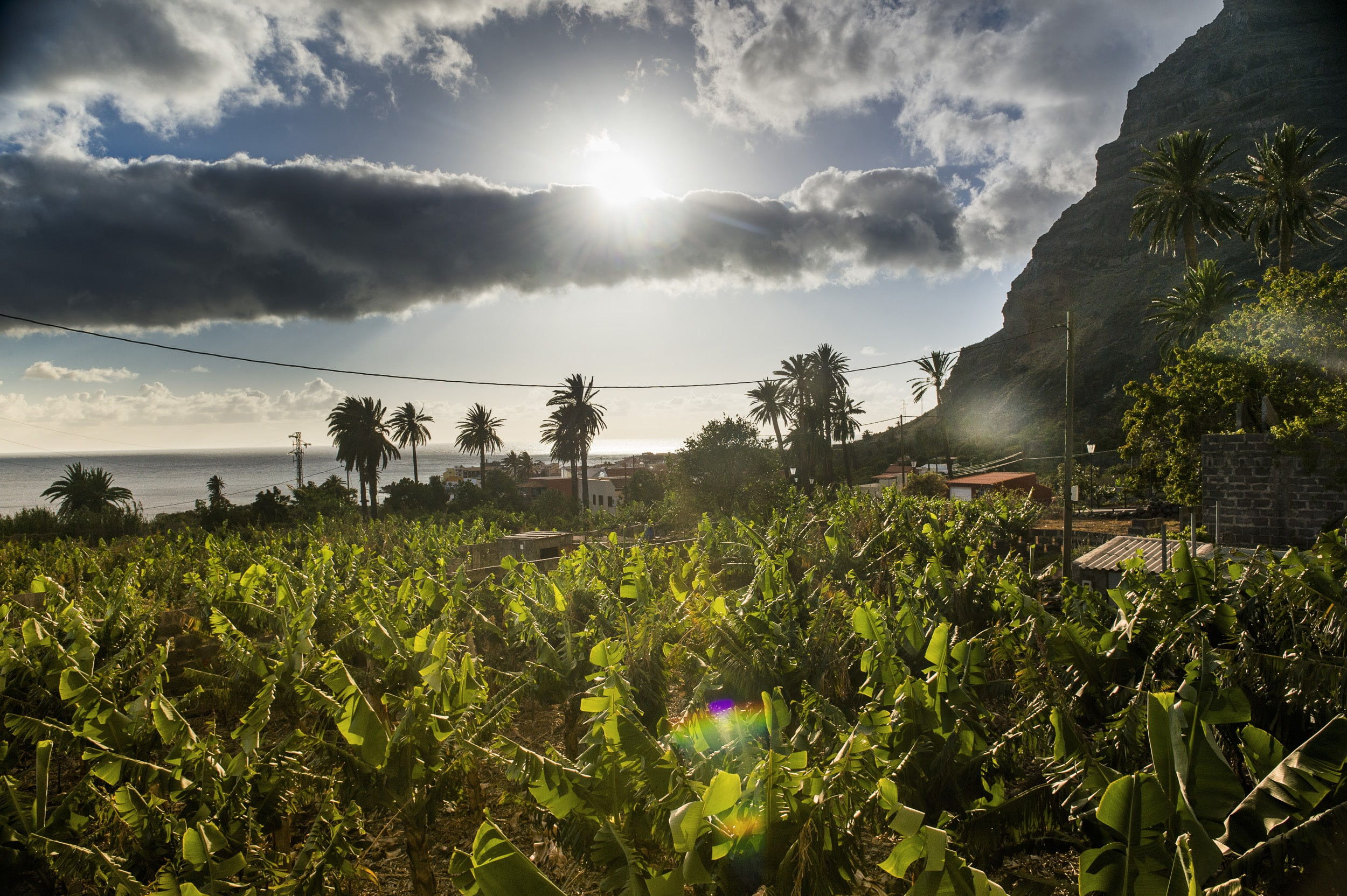 We children of Gomera 16 by Jan Windszus