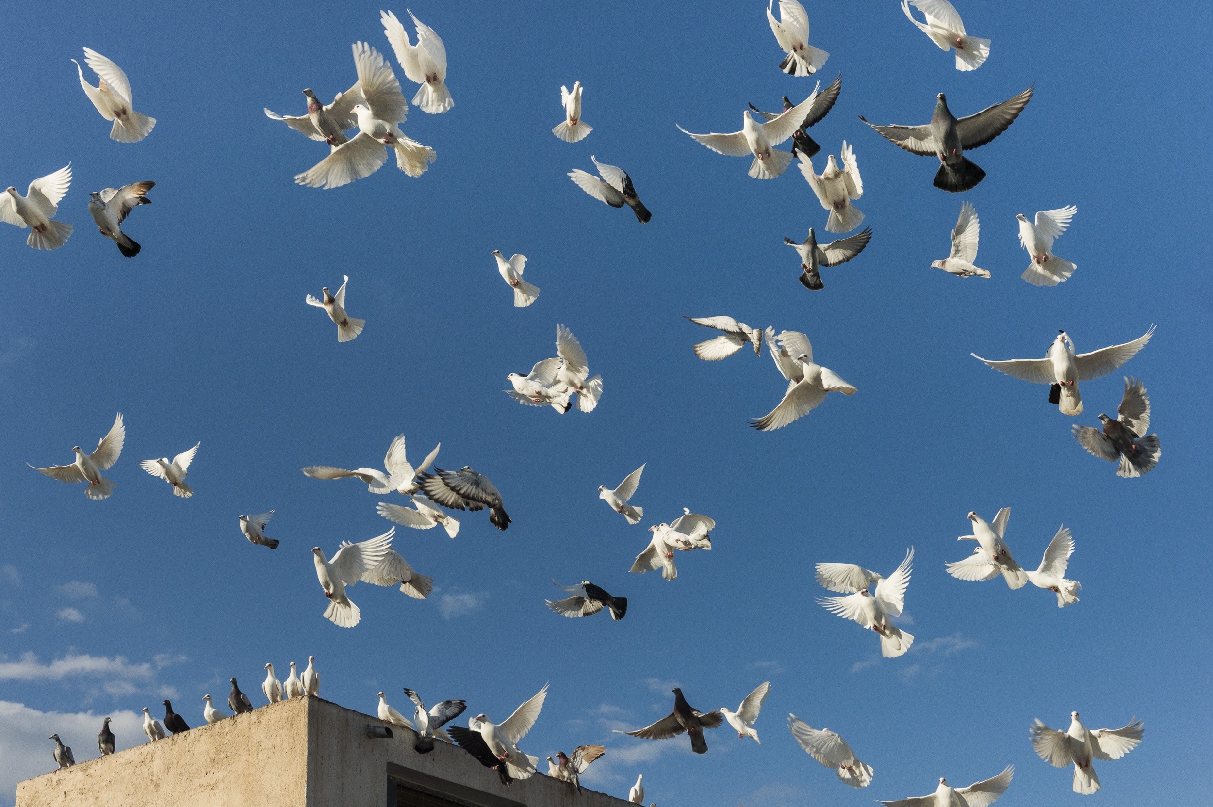 Greece - A portrait 15 by Jan Windszus