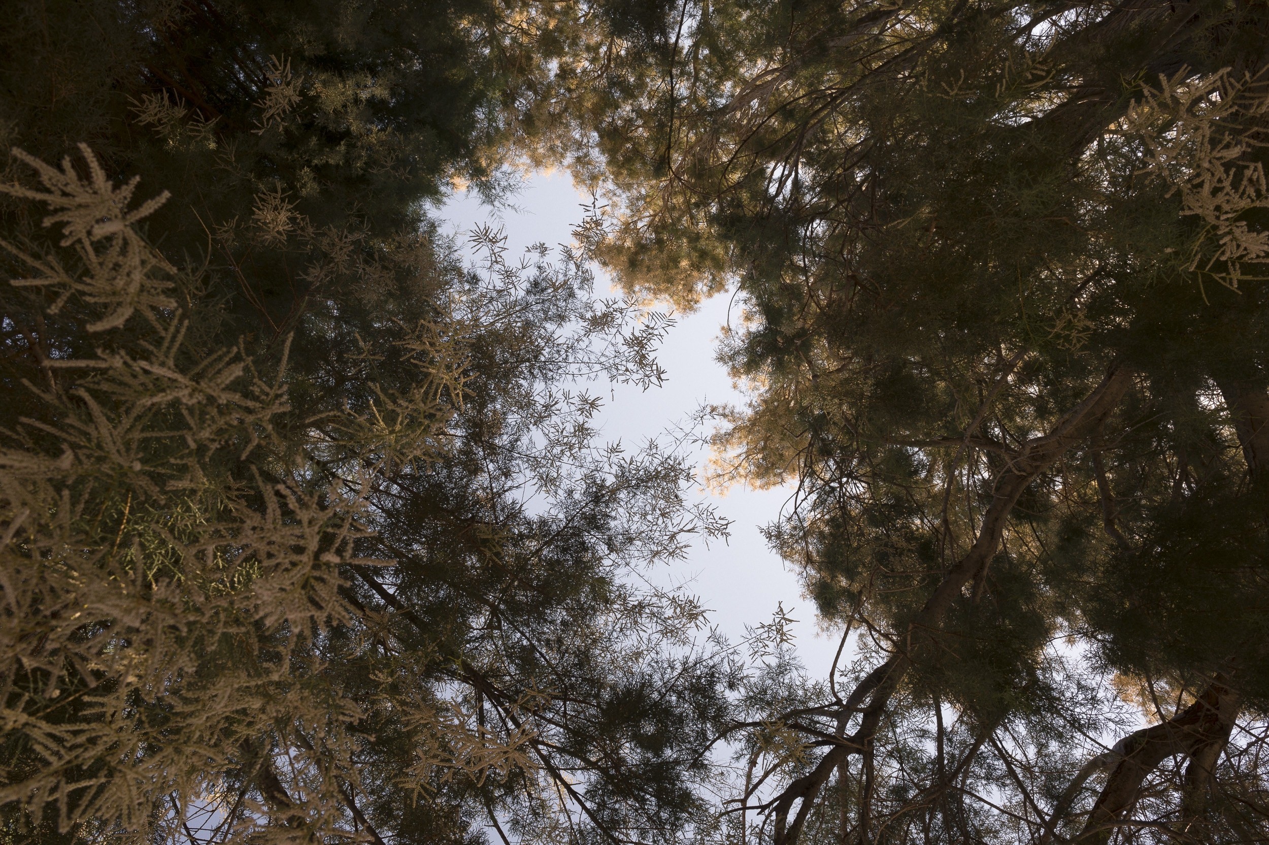 Greece - A portrait 56 by Jan Windszus