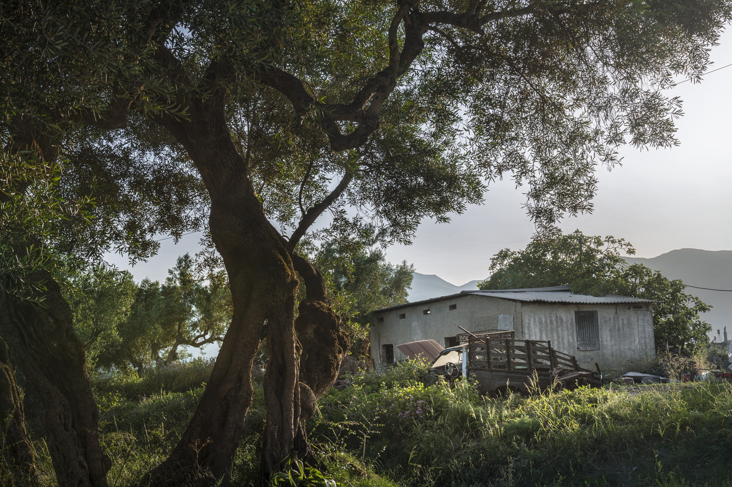 Greece - A portrait 66 by Jan Windszus