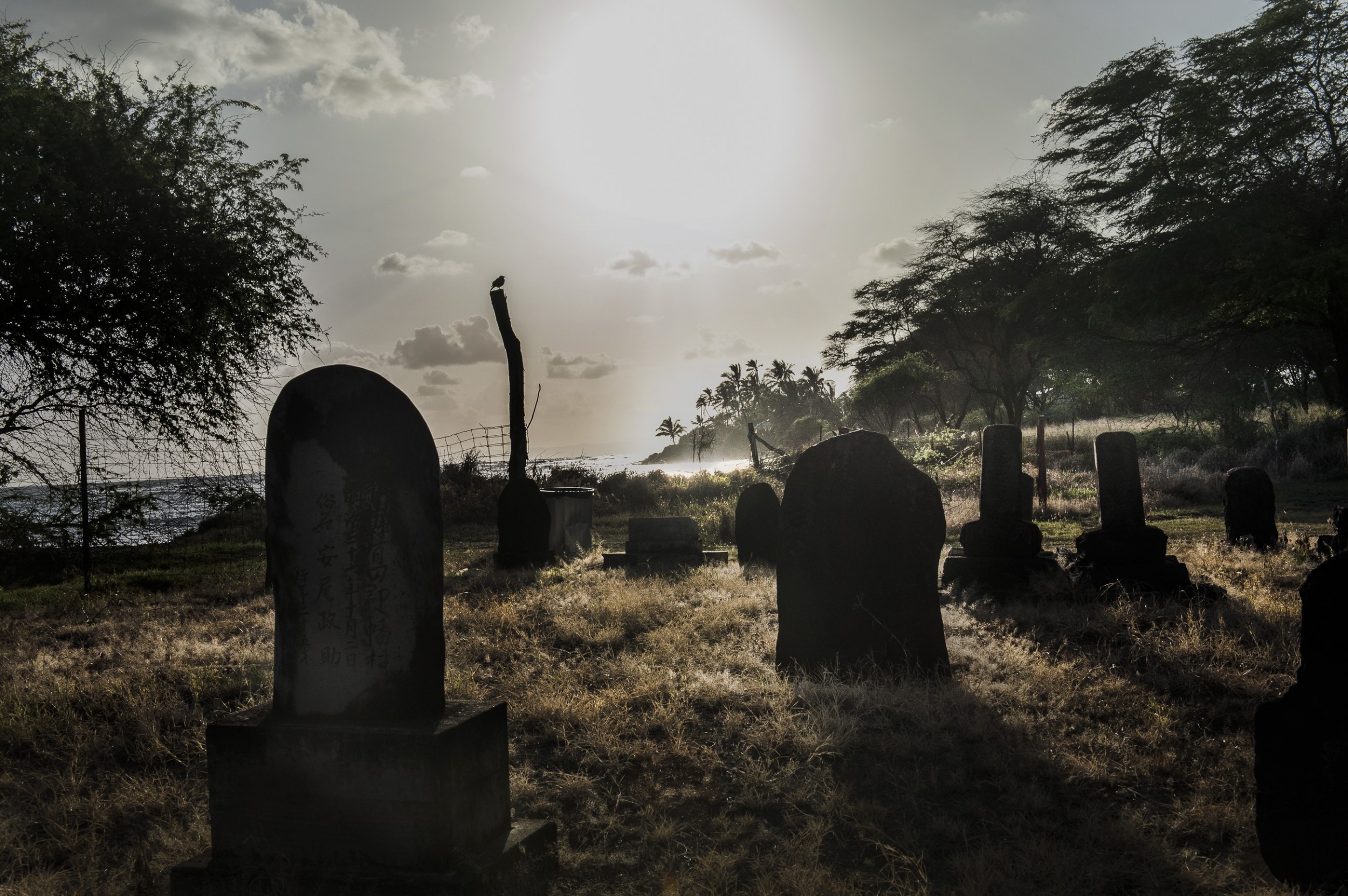 Niihau - The forbidden island 15 by Jan Windszus