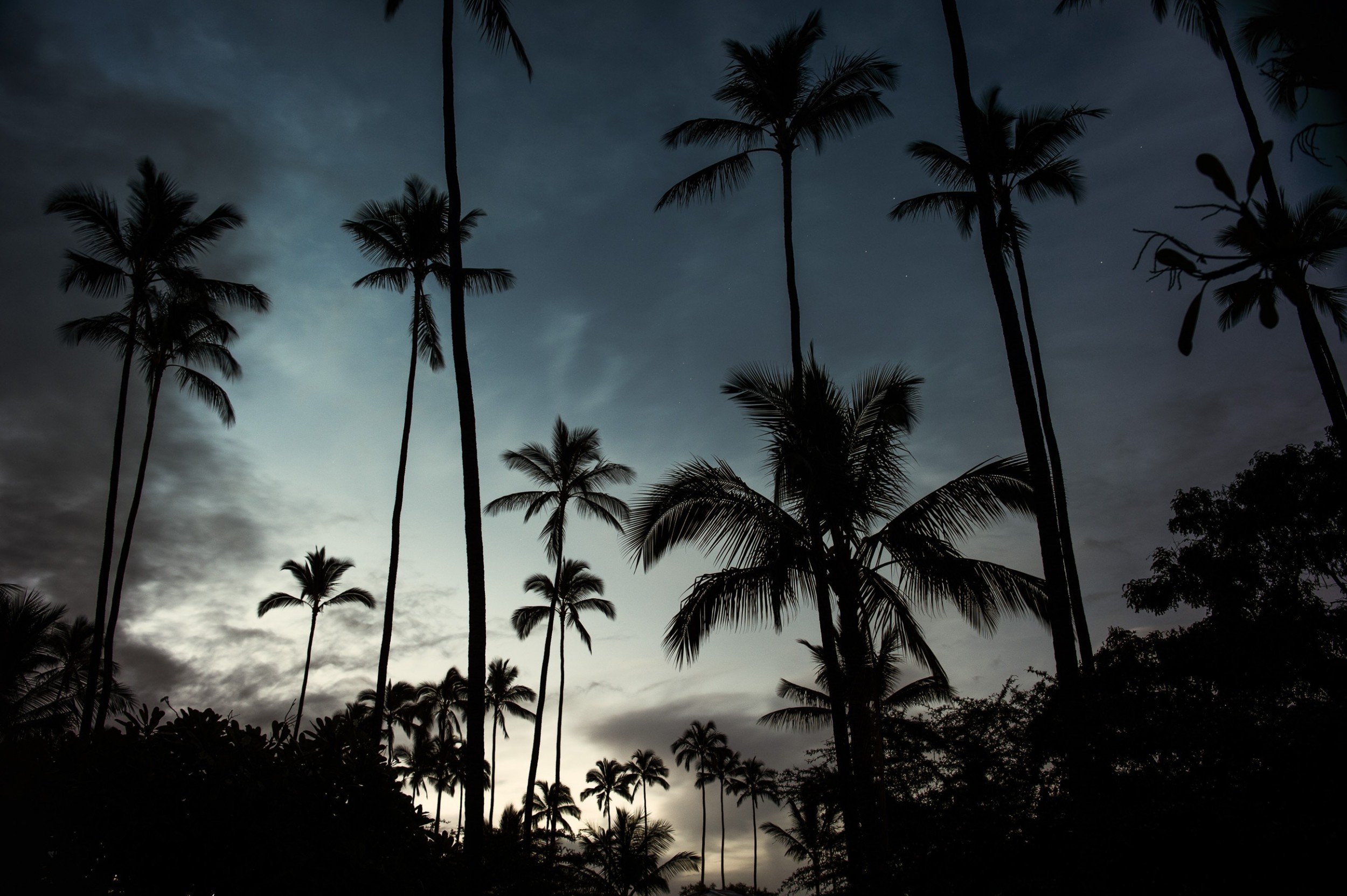 Niihau - The forbidden island 24 by Jan Windszus