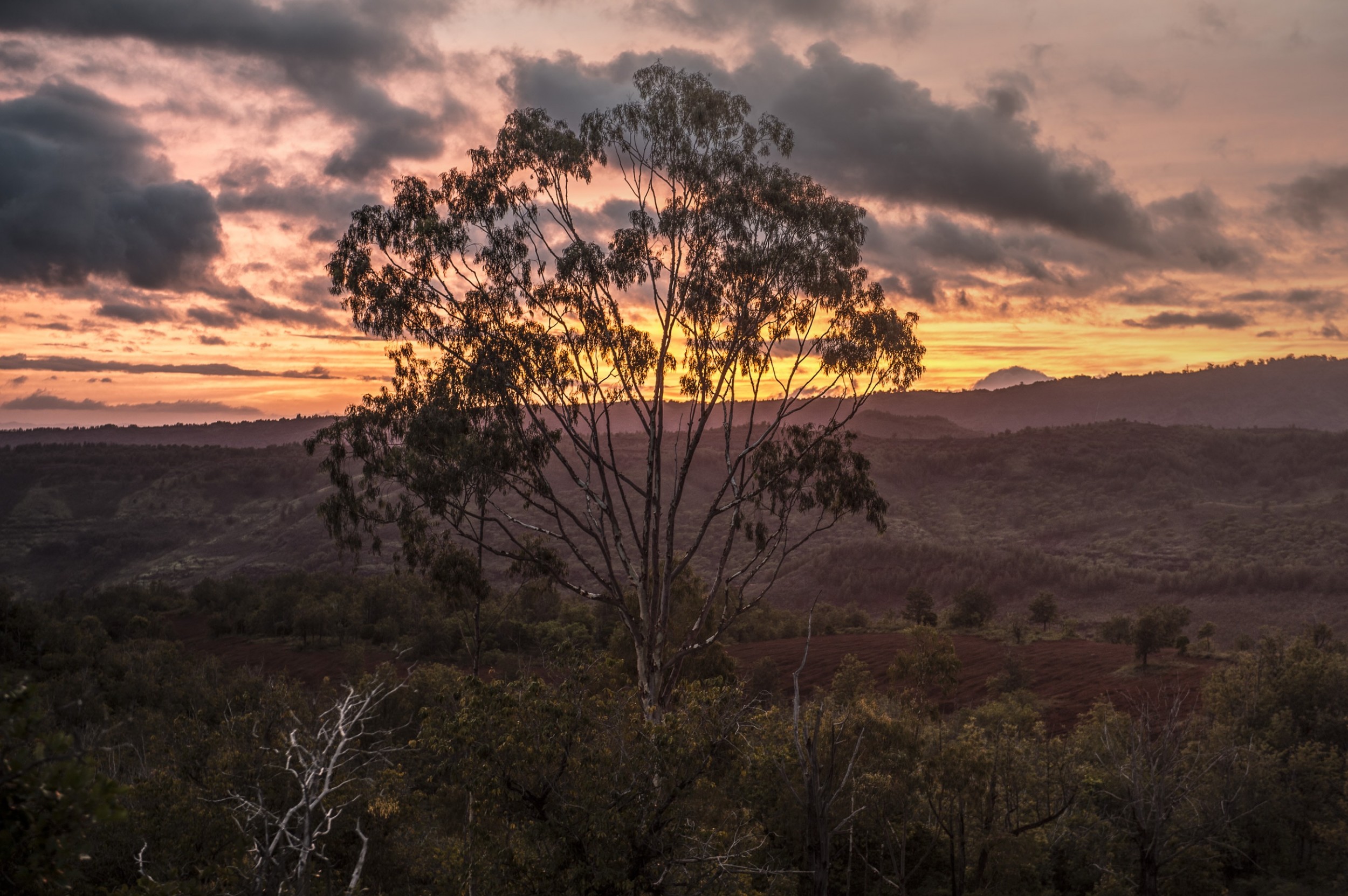 Niihau - The forbidden island 27 by Jan Windszus