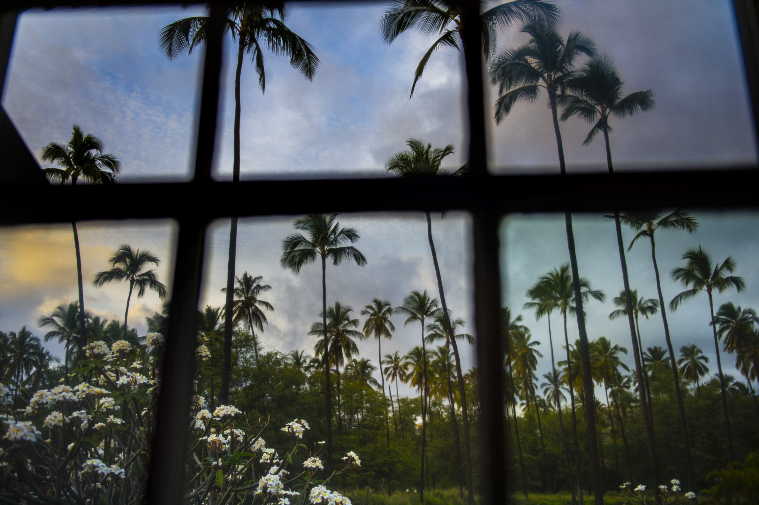 Niihau - The forbidden island 47 by Jan Windszus