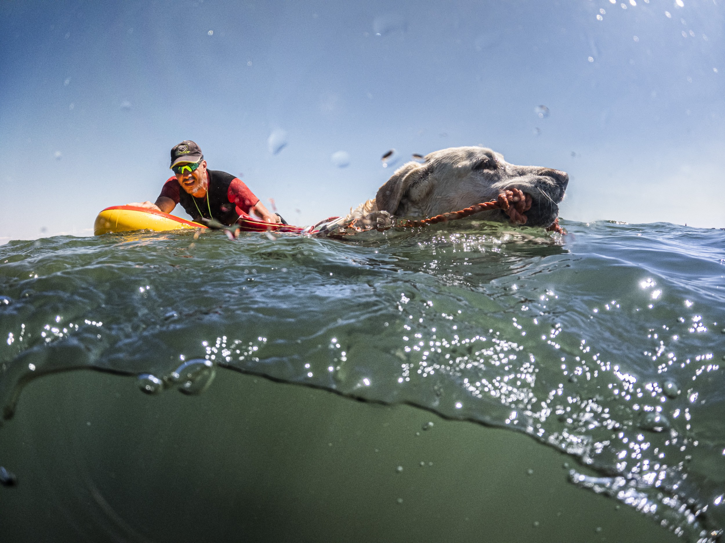 Lifeguard dogs 12 by Jan Windszus