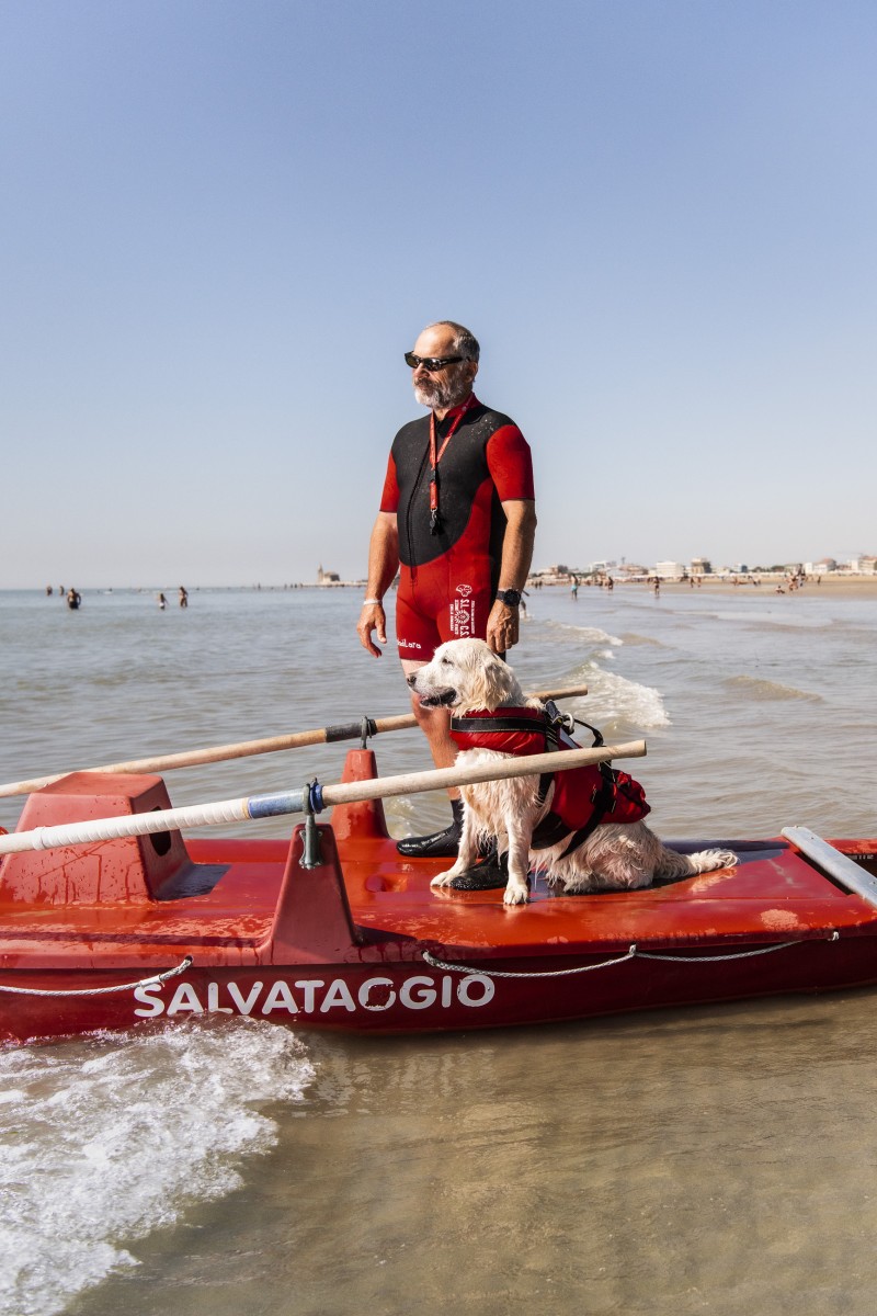 Lifeguard dogs 23 by Jan Windszus