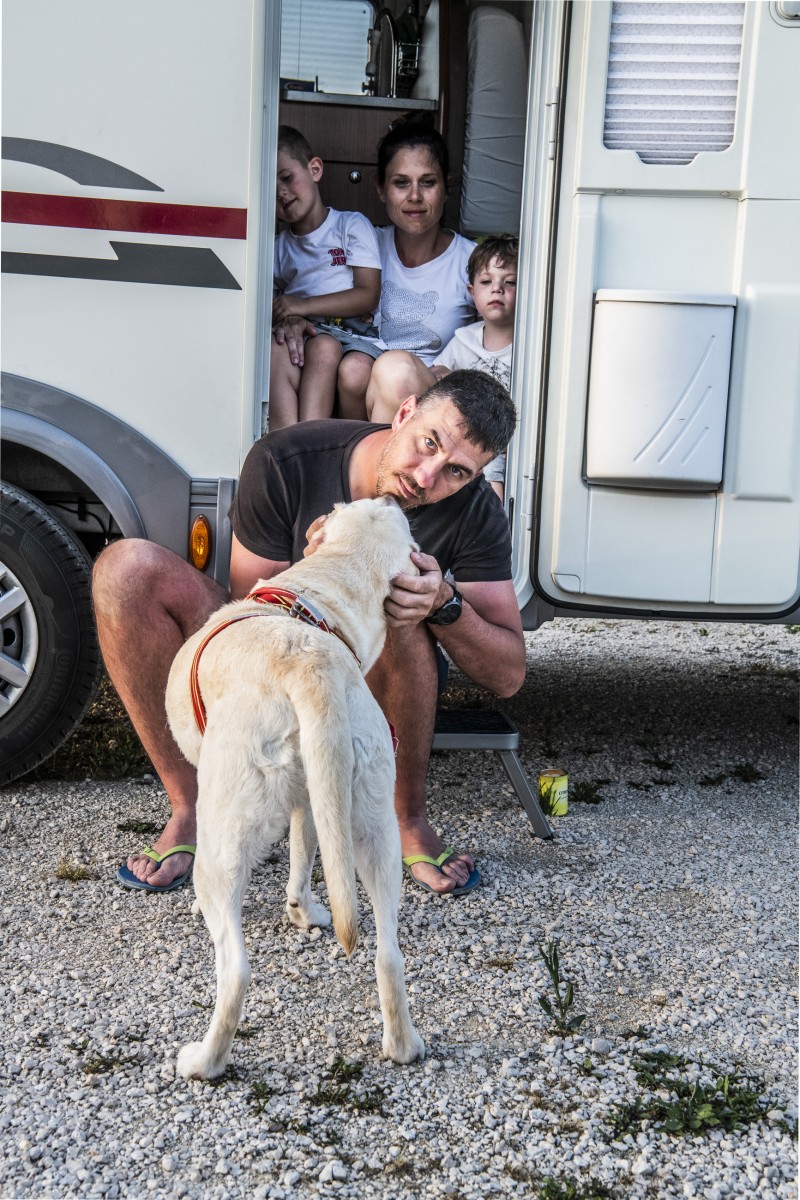 Lifeguard dogs 28 by Jan Windszus